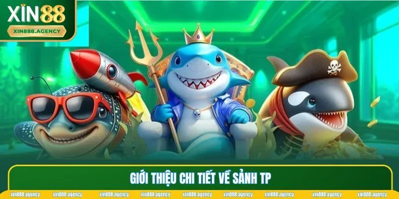 Giới thiệu chi tiết về sảnh TP
