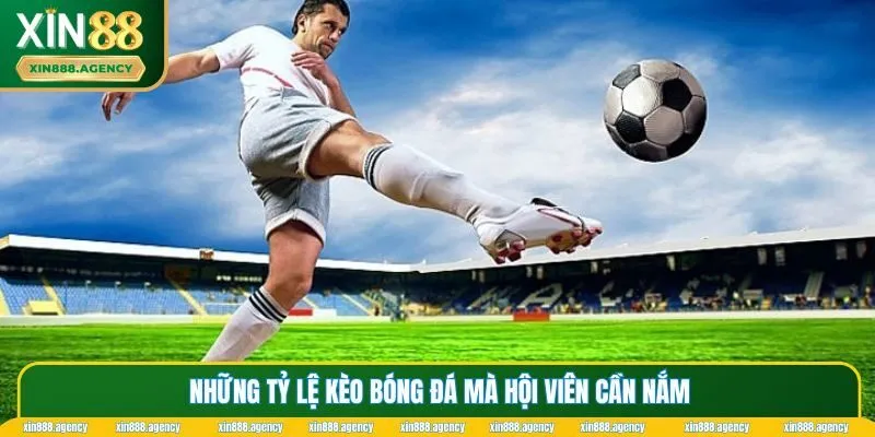 Điểm danh các tỷ lệ kèo tại hệ thống
