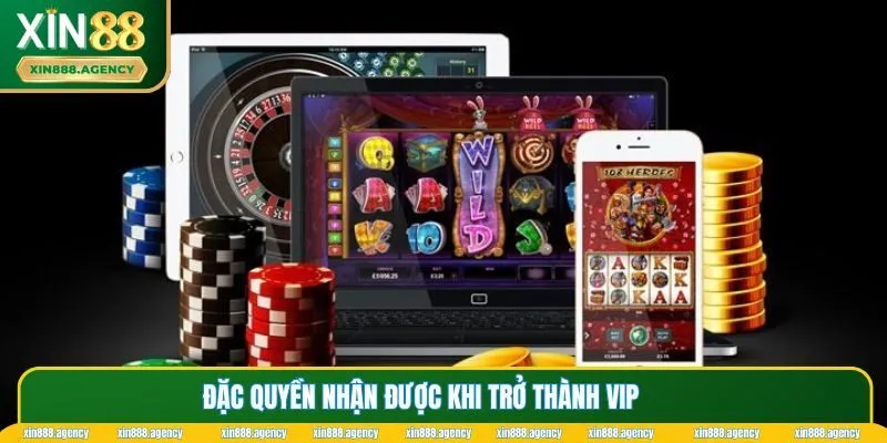 Đặc quyền mà tài khoản Vip sẽ nhận được