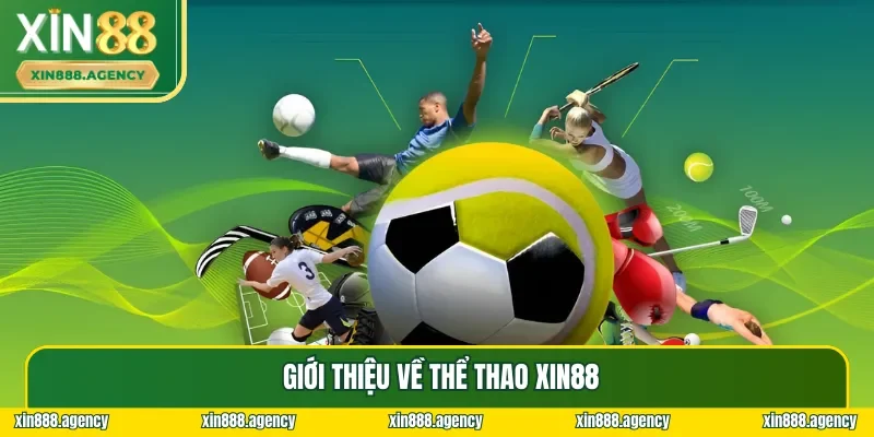 Tổng quan về sân chơi đỉnh cao nhất thị trường - Thể thao XIN88
