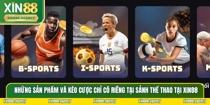 Các sản phẩm và kèo cược có mặt tại sảnh Thể thao XIN88